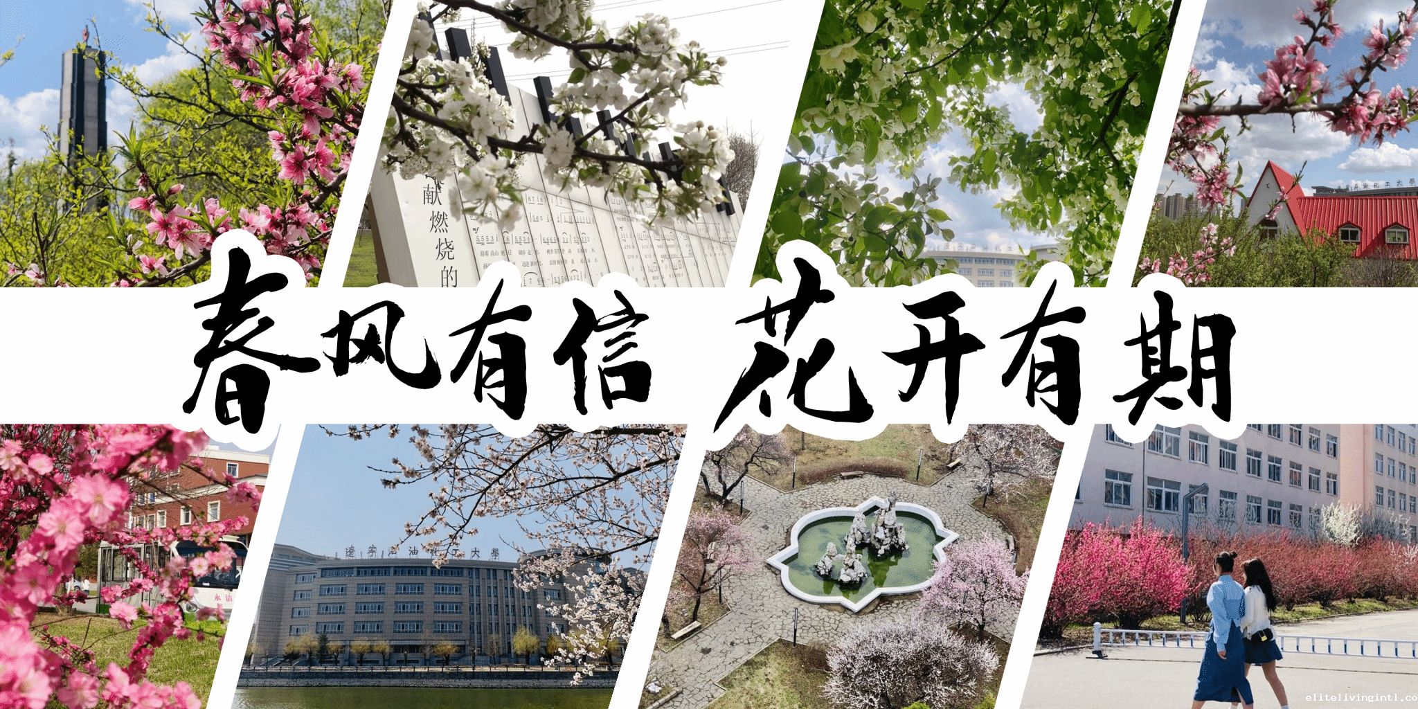 轮播图1